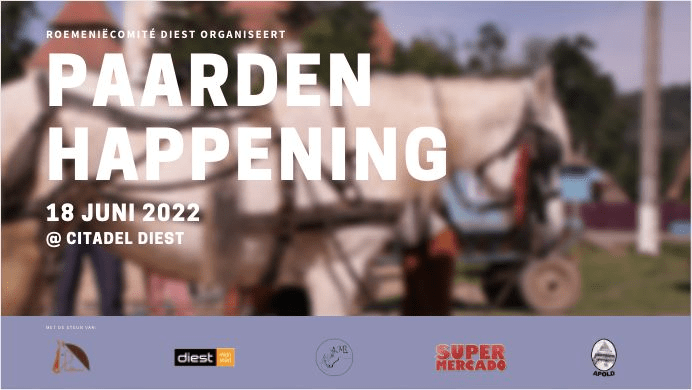 Paardenhappening in Diest
