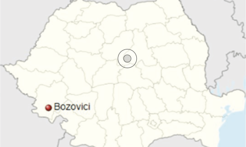 Bozovici