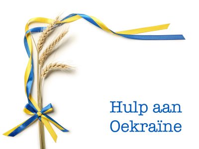 Wheat spikelets and ribbons in colors of Ukrainian flag on light background