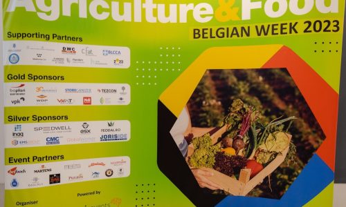 The Belgian Week 2023