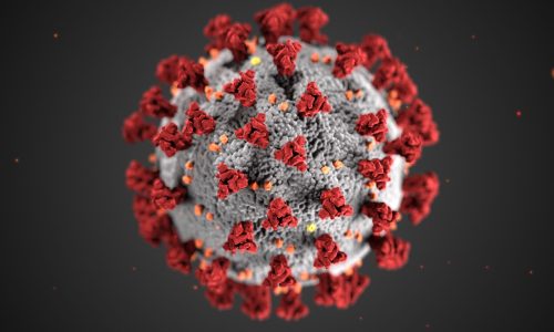 virus close up
